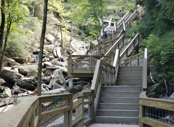 A small part of Catawba Fall's 580-step staircase.